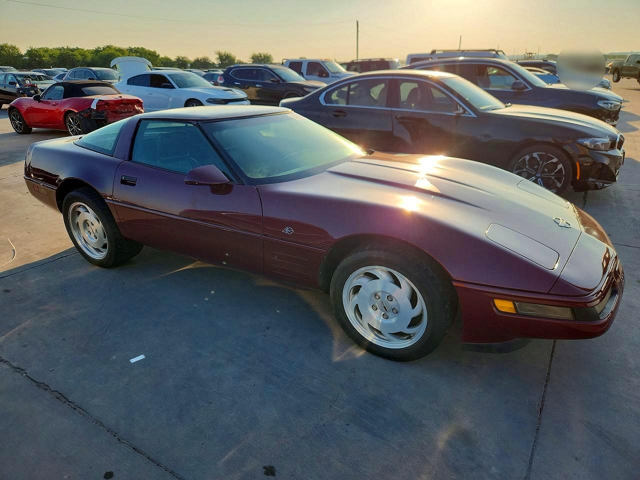 1993 Chevrolet Corvette Burgundy vin: 1G1YY23P3P5115200