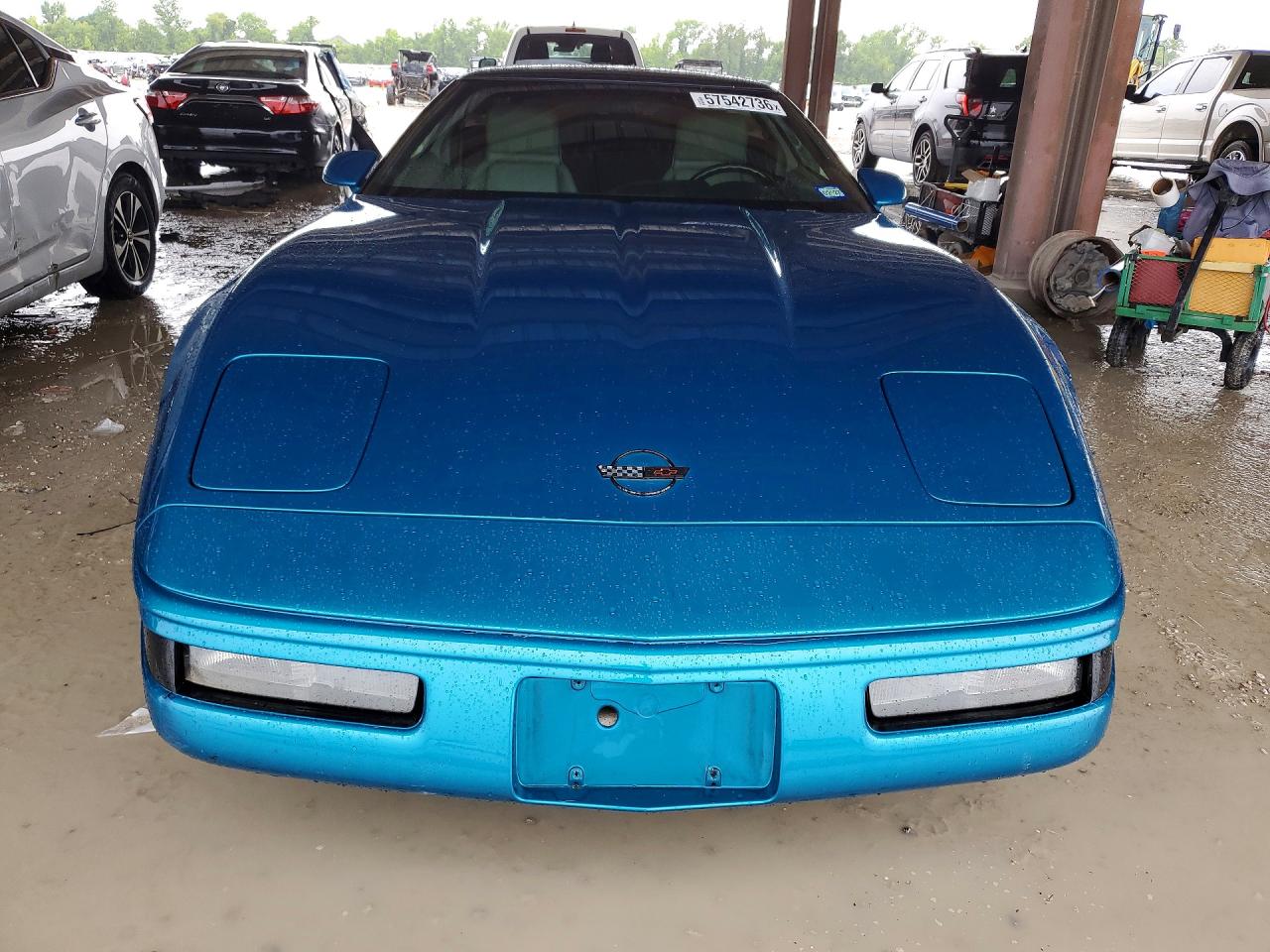 1993 Chevrolet Corvette Бирюзовый vin: 1G1YY23P3P5119506