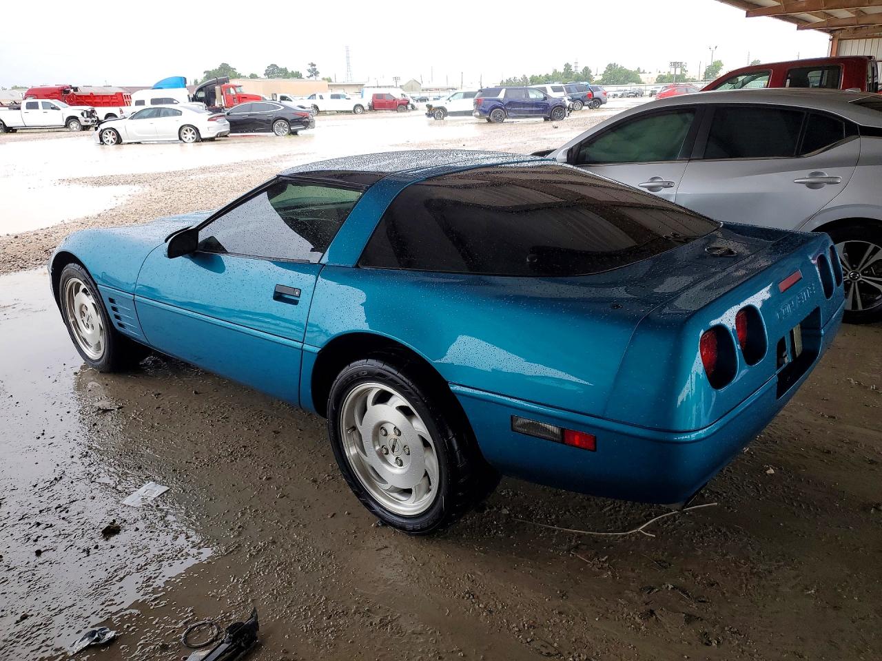 1993 Chevrolet Corvette Бирюзовый vin: 1G1YY23P3P5119506