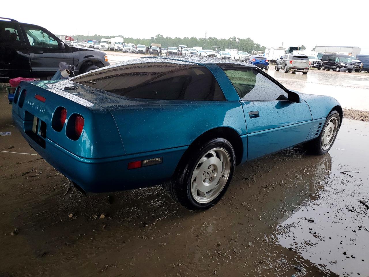 1993 Chevrolet Corvette Бирюзовый vin: 1G1YY23P3P5119506