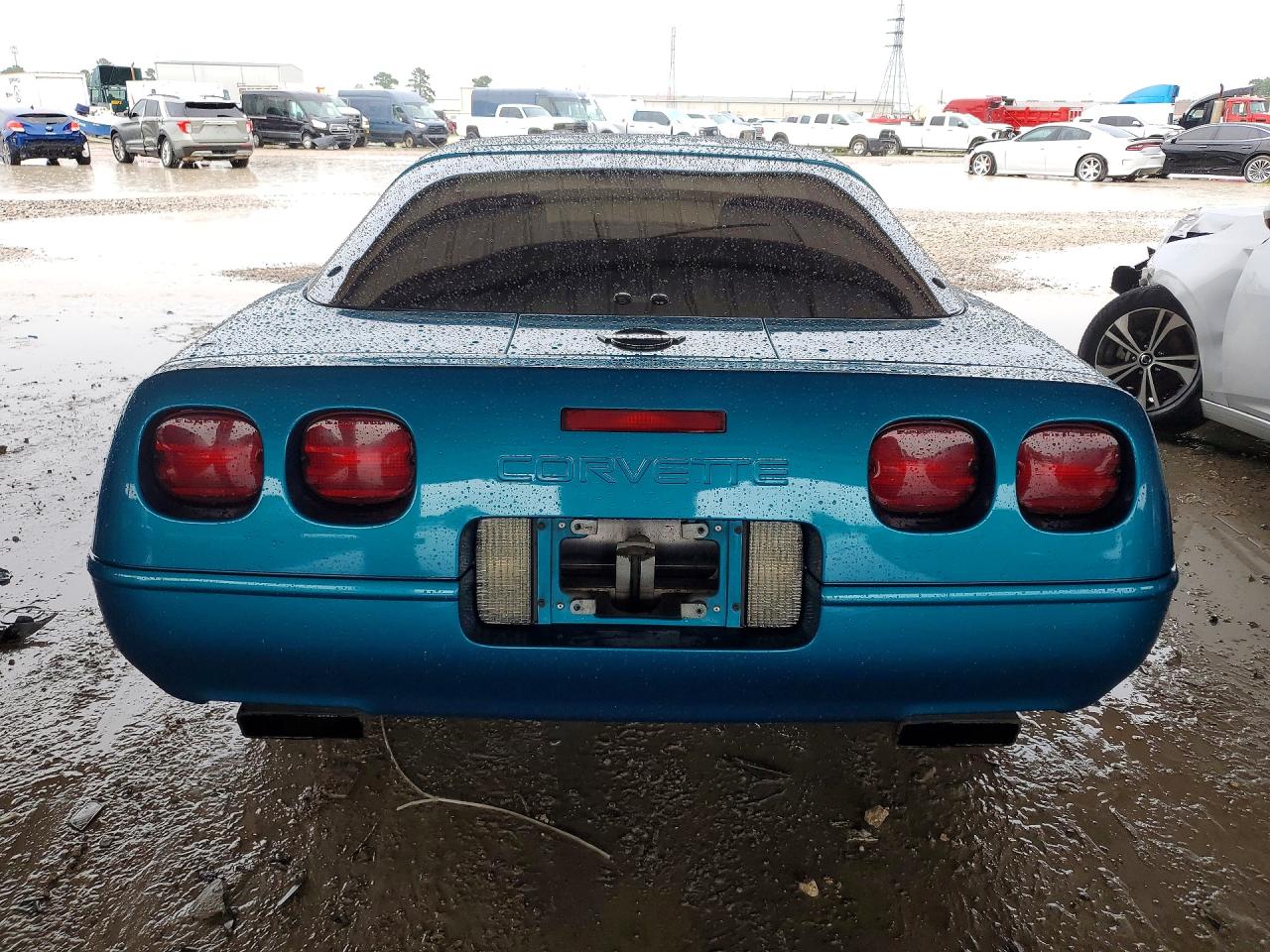 1993 Chevrolet Corvette Бирюзовый vin: 1G1YY23P3P5119506