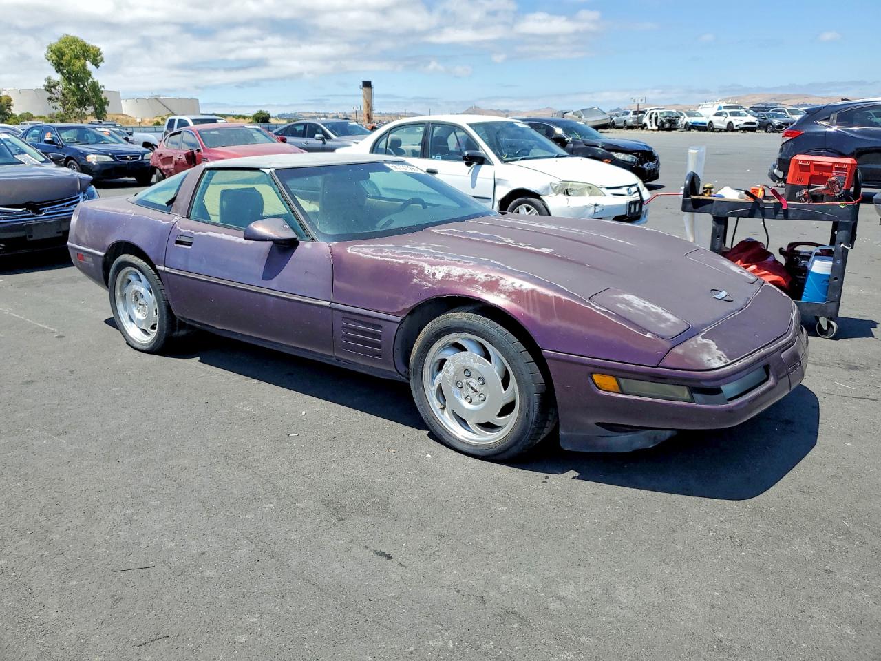 1993 Chevrolet Corvette Purple vin: 1G1YY23P5P5102917