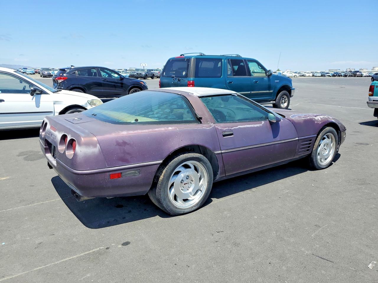 1993 Chevrolet Corvette Purple vin: 1G1YY23P5P5102917