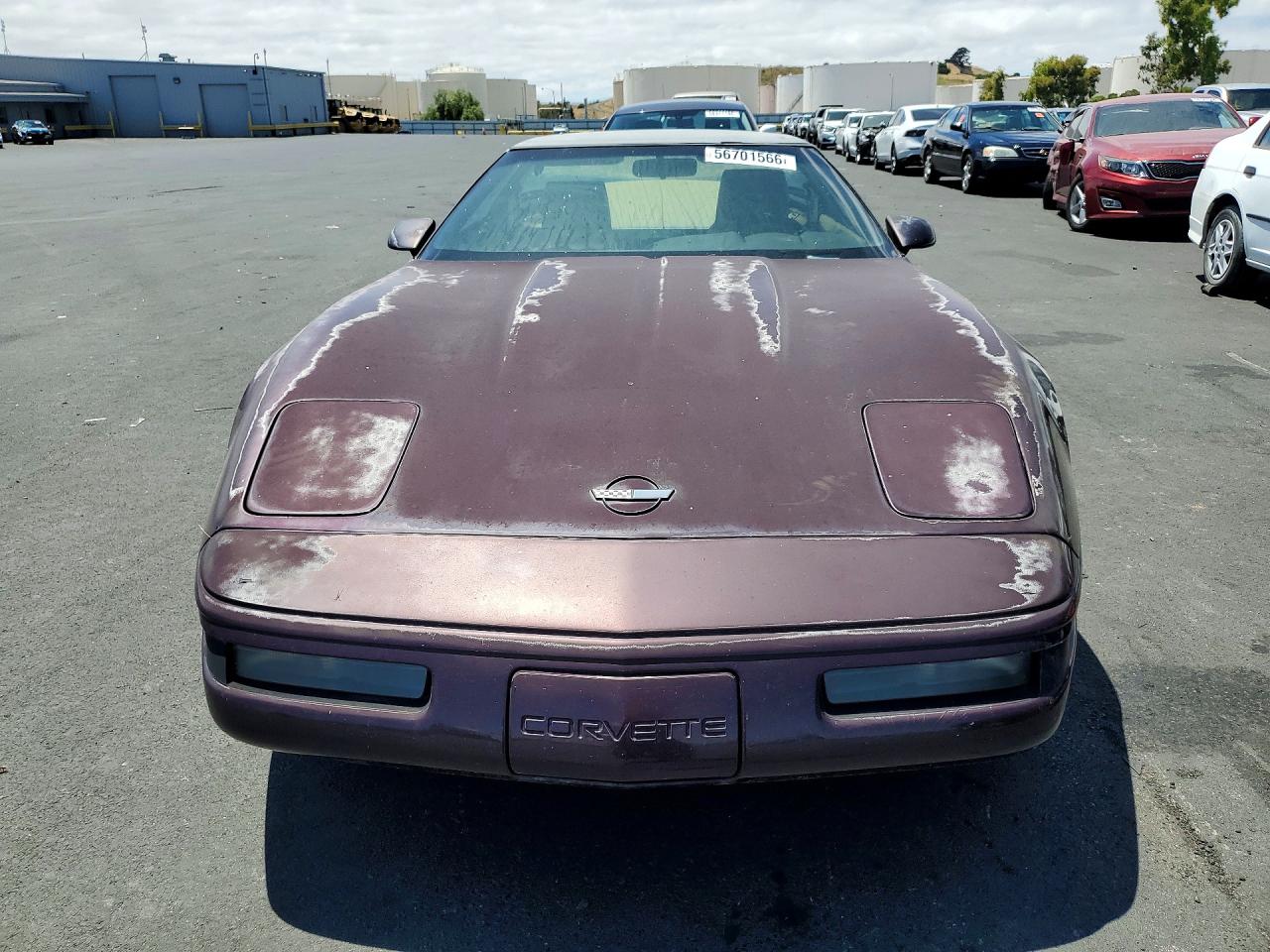 1993 Chevrolet Corvette Purple vin: 1G1YY23P5P5102917