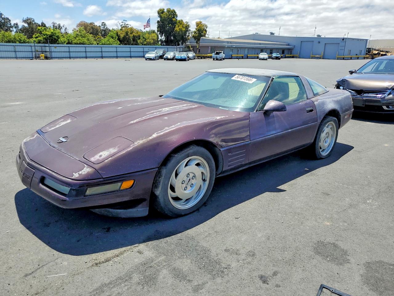 1993 Chevrolet Corvette Purple vin: 1G1YY23P5P5102917