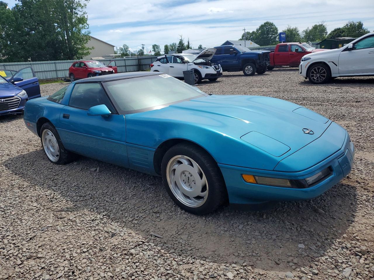 1992 Chevrolet Corvette Blue vin: 1G1YY23P6N5108352