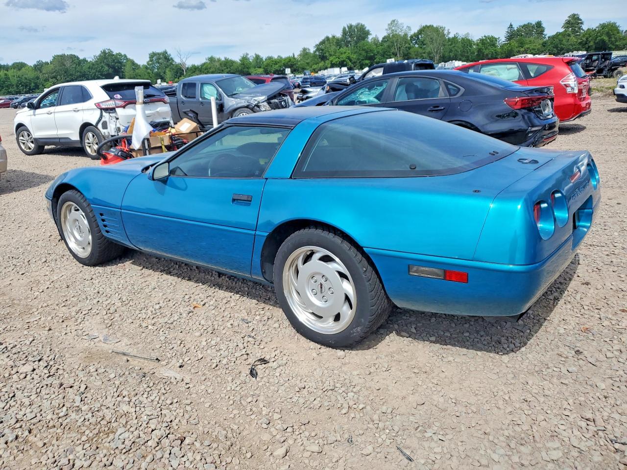 1992 Chevrolet Corvette Blue vin: 1G1YY23P6N5108352