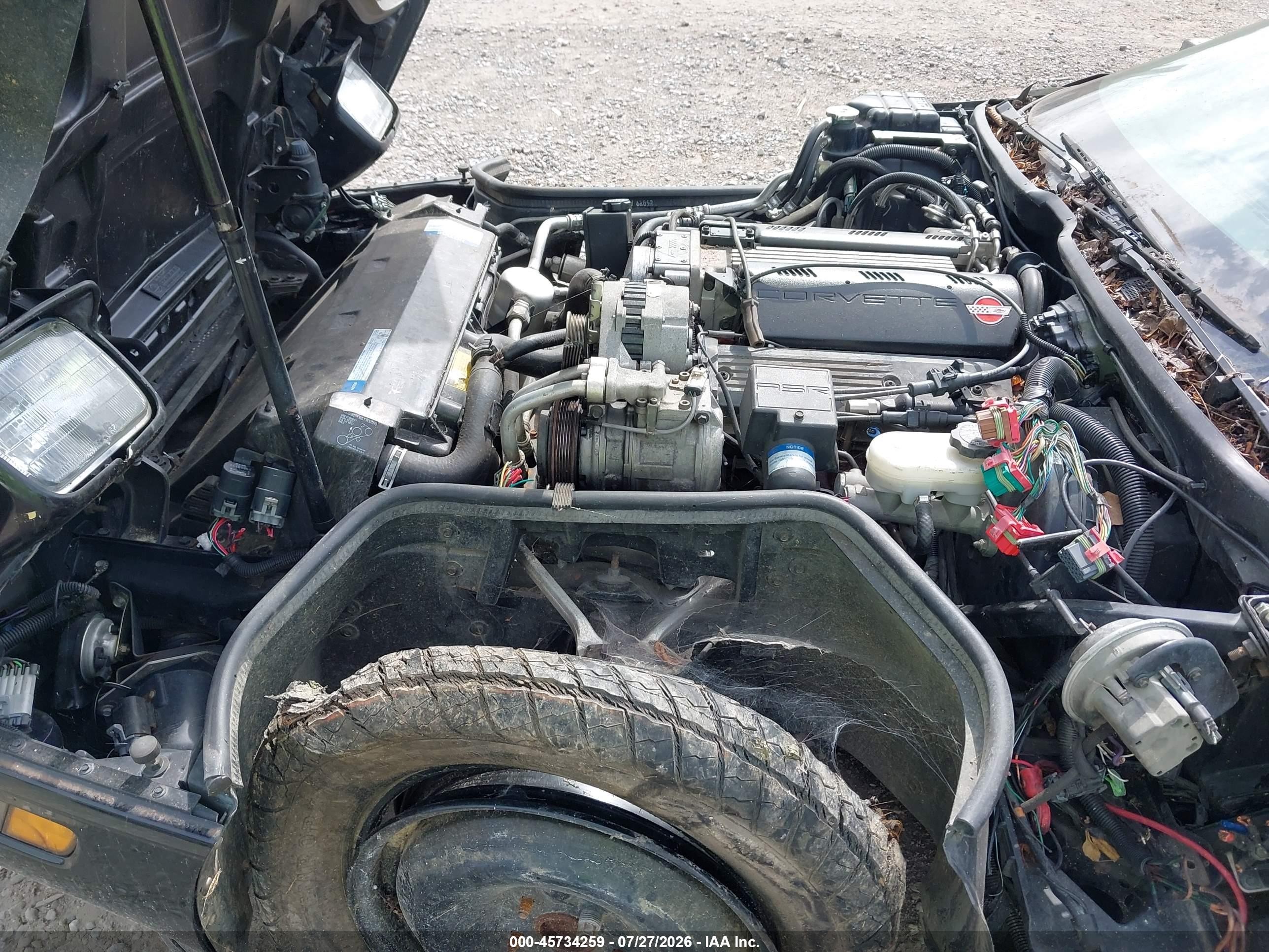 1992 Chevrolet Corvette   Черный vin: 1G1YY23P8N5116937
