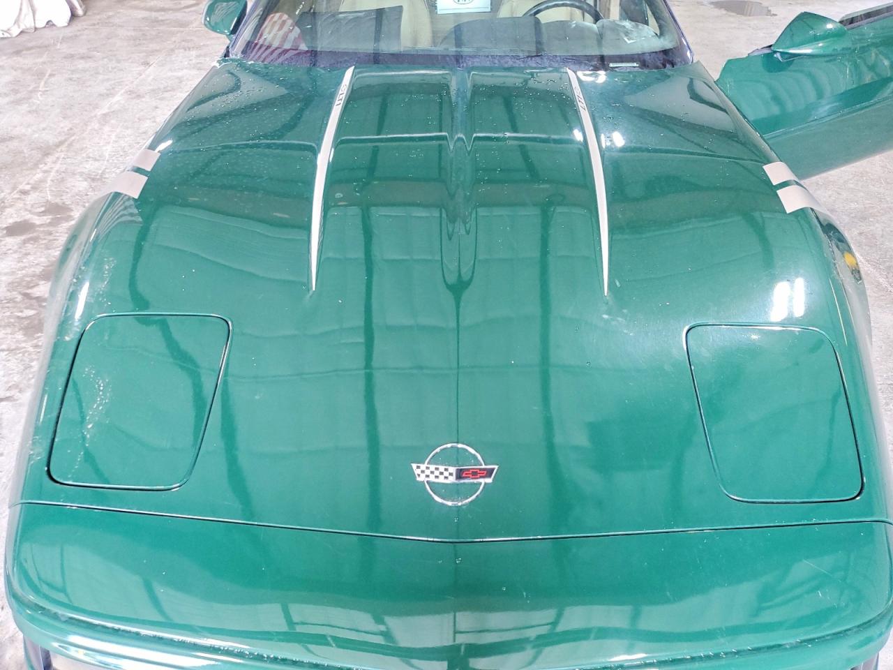 1992 Chevrolet Corvette Green vin: 1G1YY23P9N5110449