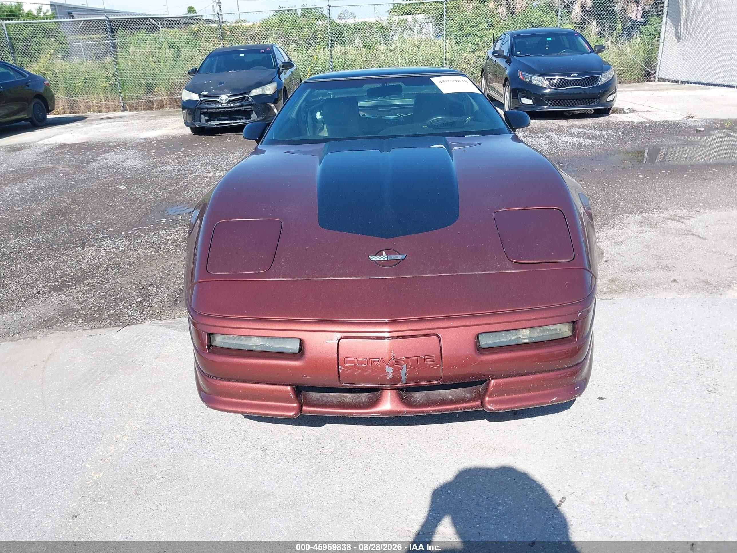 1993 Chevrolet Corvette   Brown vin: 1G1YY23P9P5103066