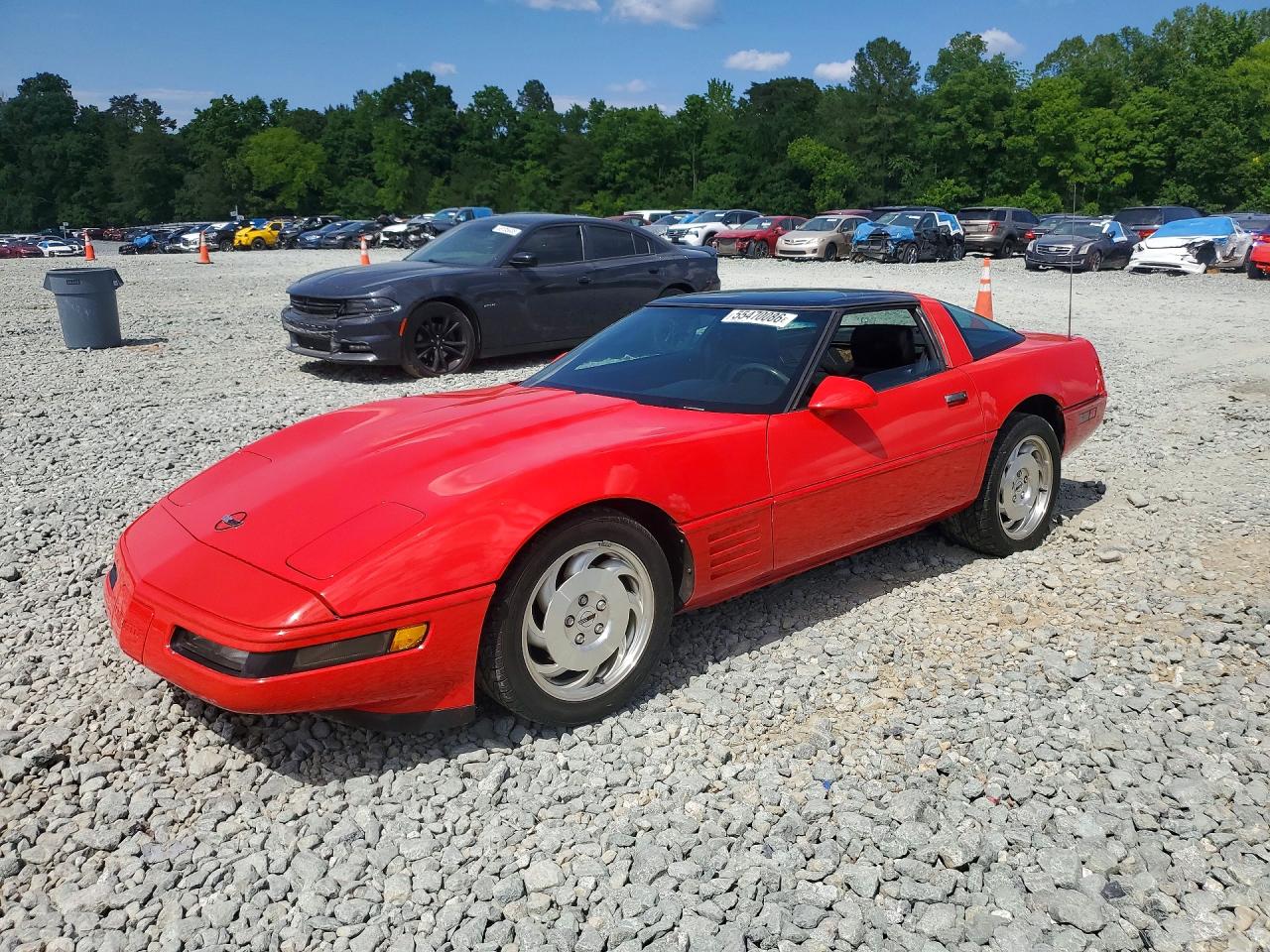 1993 Chevrolet Corvette Красный vin: 1G1YY23P9P5116903