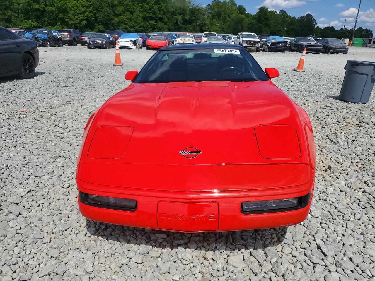 1993 Chevrolet Corvette Red vin: 1G1YY23P9P5116903