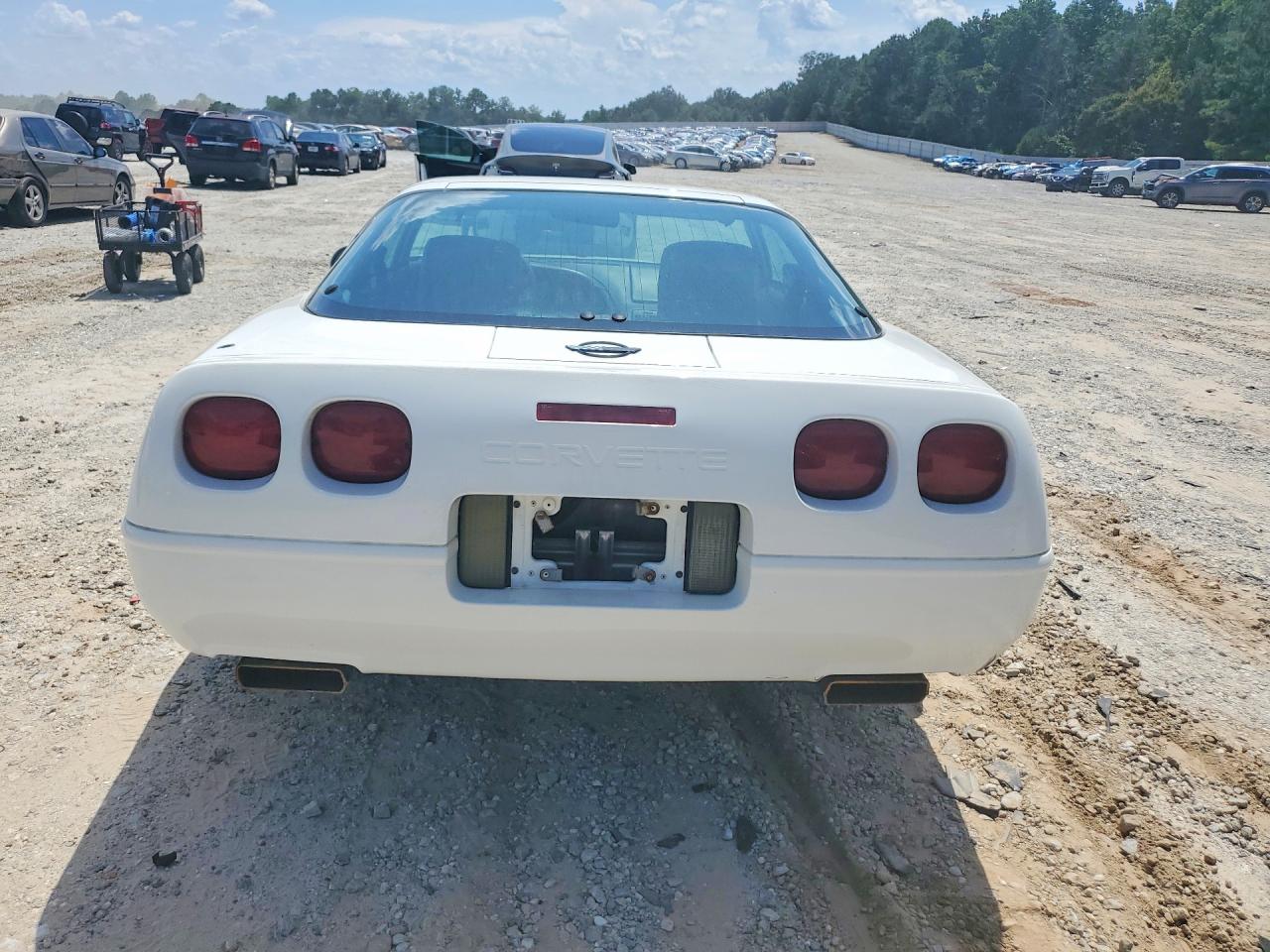 1993 Chevrolet Corvette White vin: 1G1YY23PXP5103772