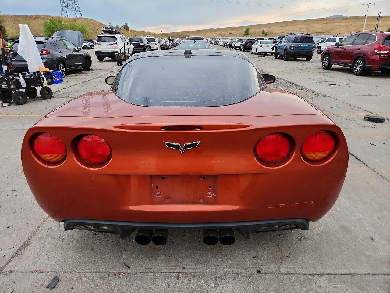 2005 Chevrolet Corvette Оранжевый vin: 1G1YY24U155123474