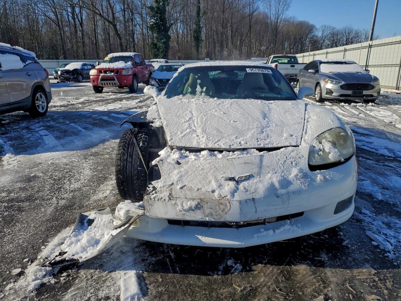 2005 Chevrolet Corvette Белый vin: 1G1YY24U555118553