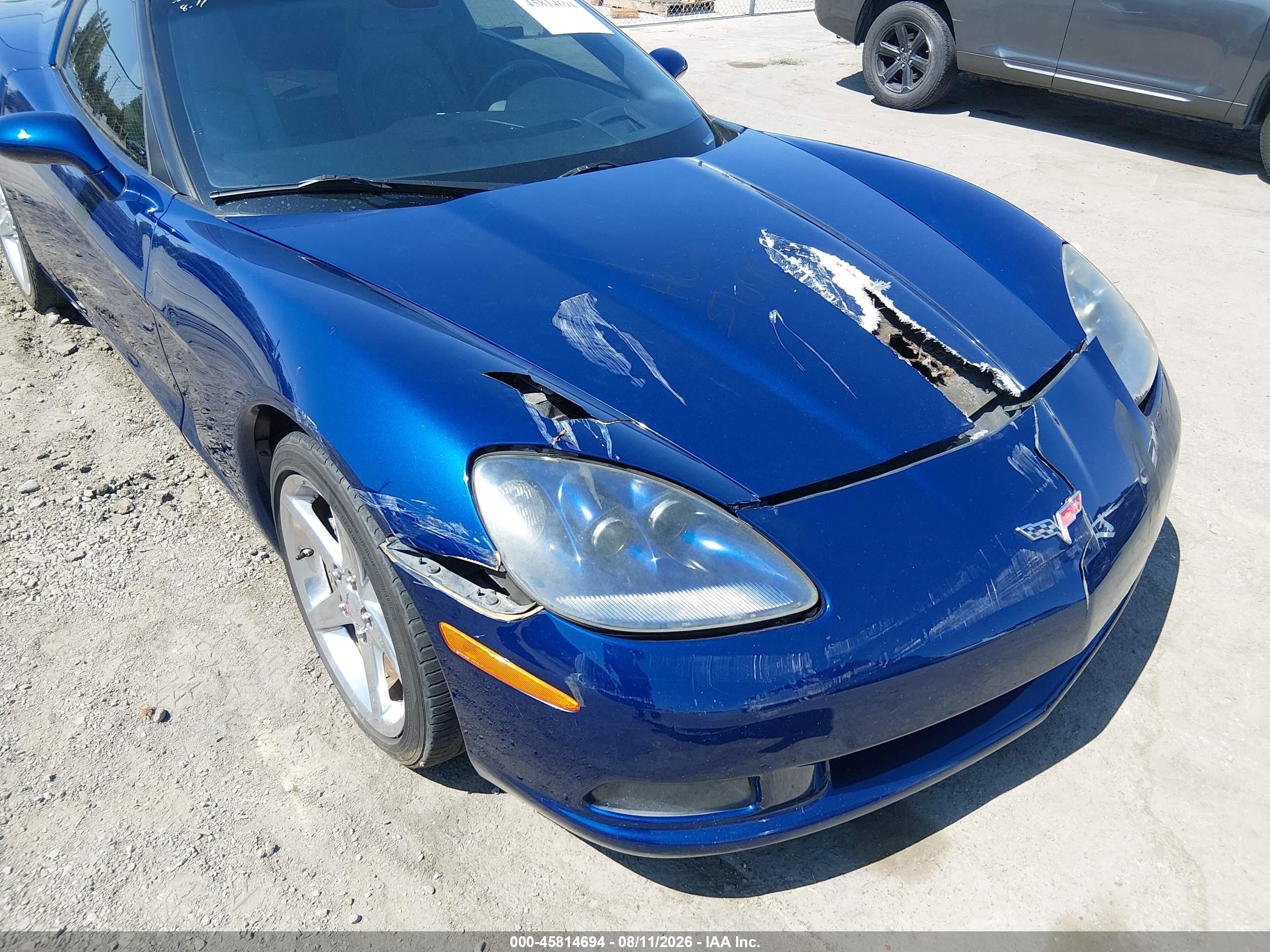 2005 Chevrolet Corvette   Blue vin: 1G1YY24U655123986