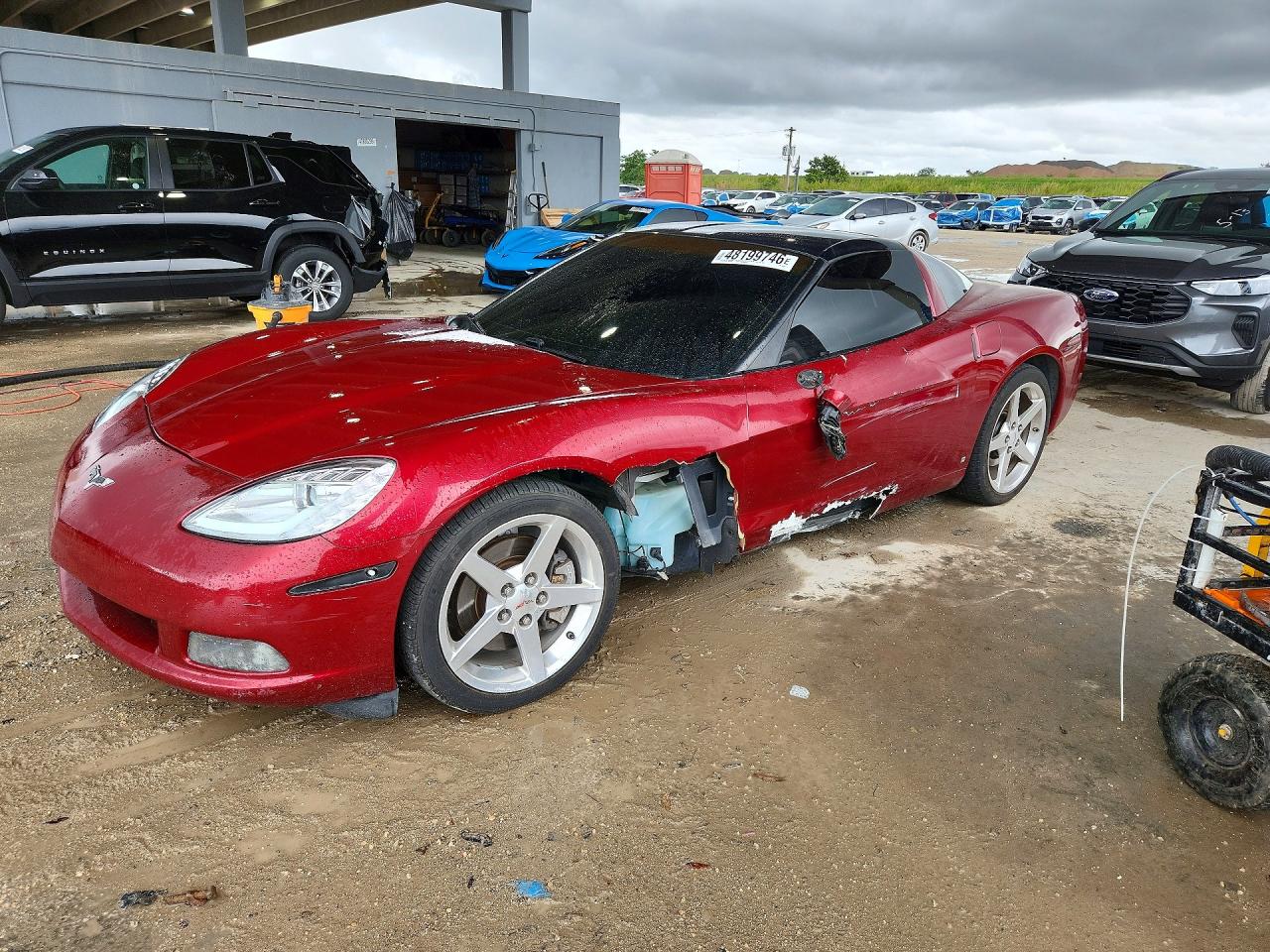 2006 Chevrolet Corvette Бордовый vin: 1G1YY26U665108449