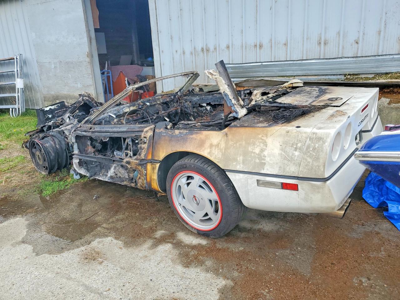 1988 Chevrolet Corvette White vin: 1G1YY3180J5120699