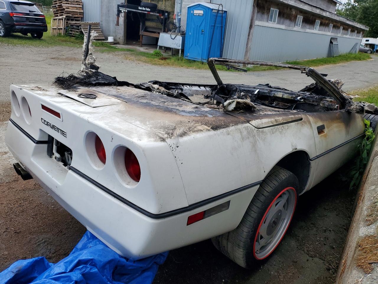 1988 Chevrolet Corvette White vin: 1G1YY3180J5120699