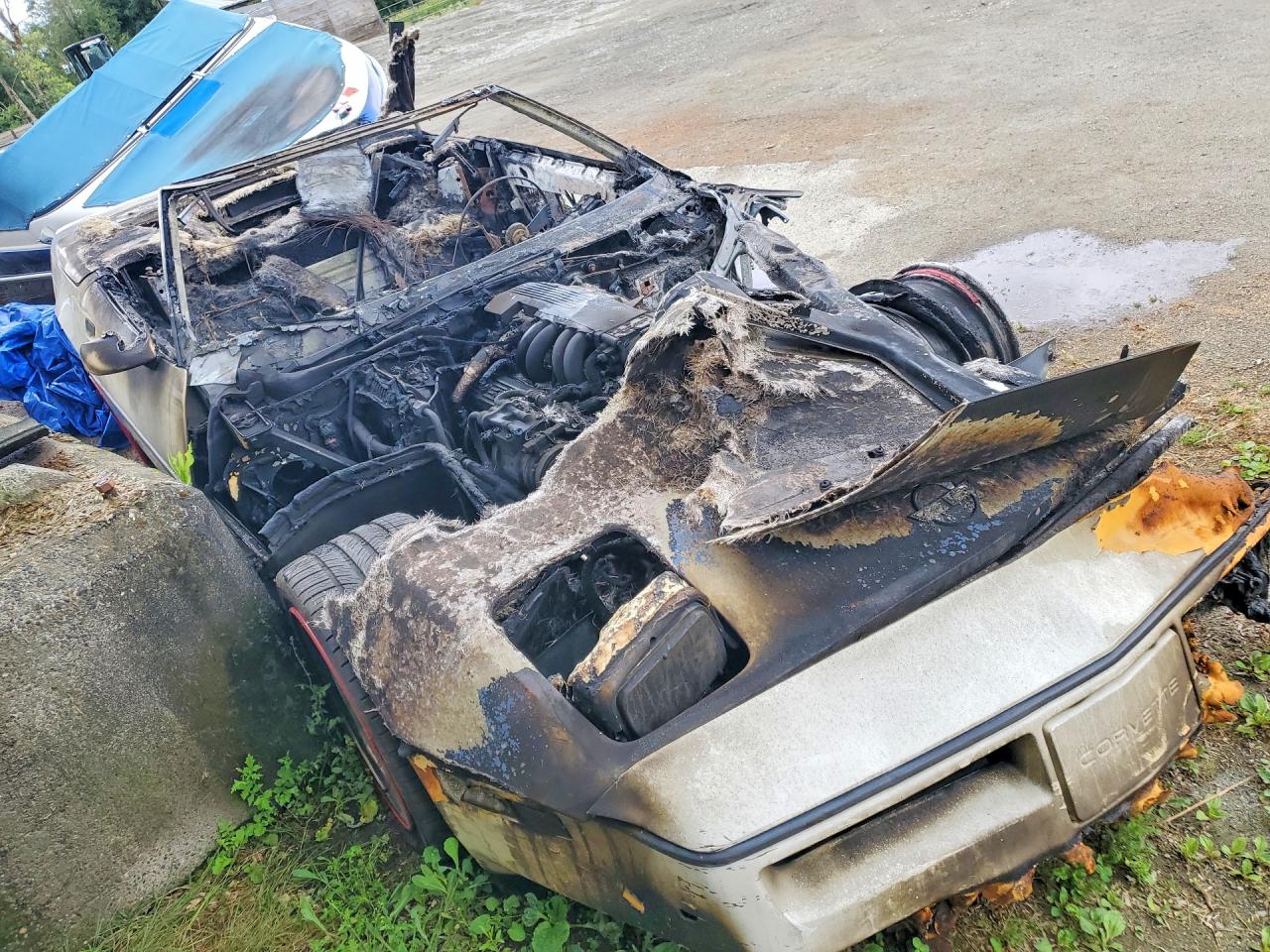 1988 Chevrolet Corvette White vin: 1G1YY3180J5120699