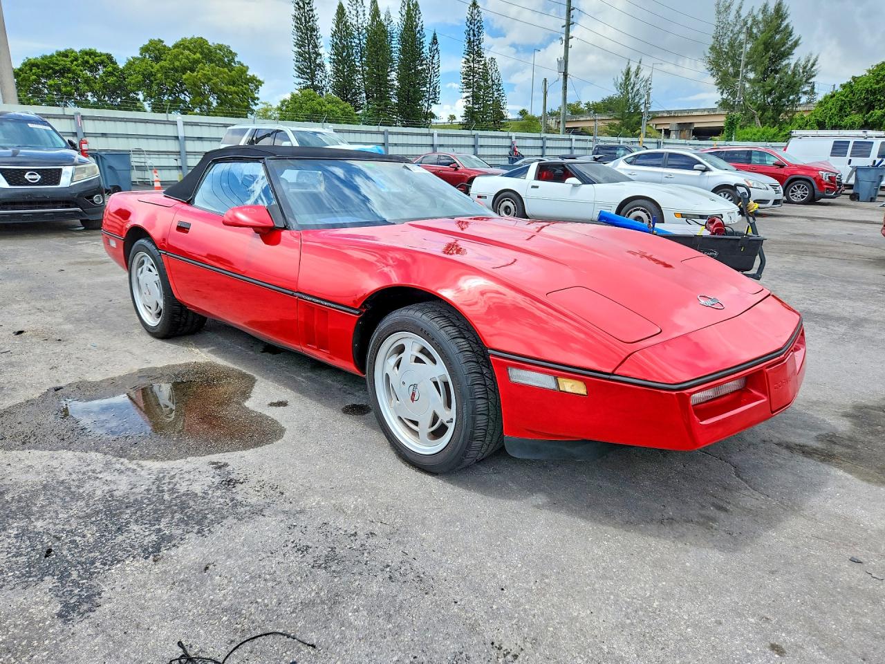 1989 Chevrolet Corvette Red vin: 1G1YY3181K5111009