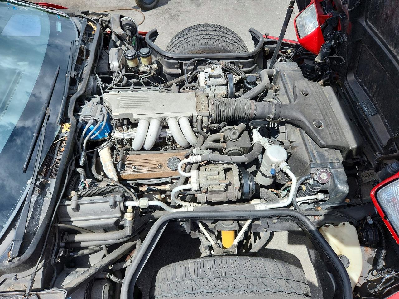 1989 Chevrolet Corvette Red vin: 1G1YY3181K5111009