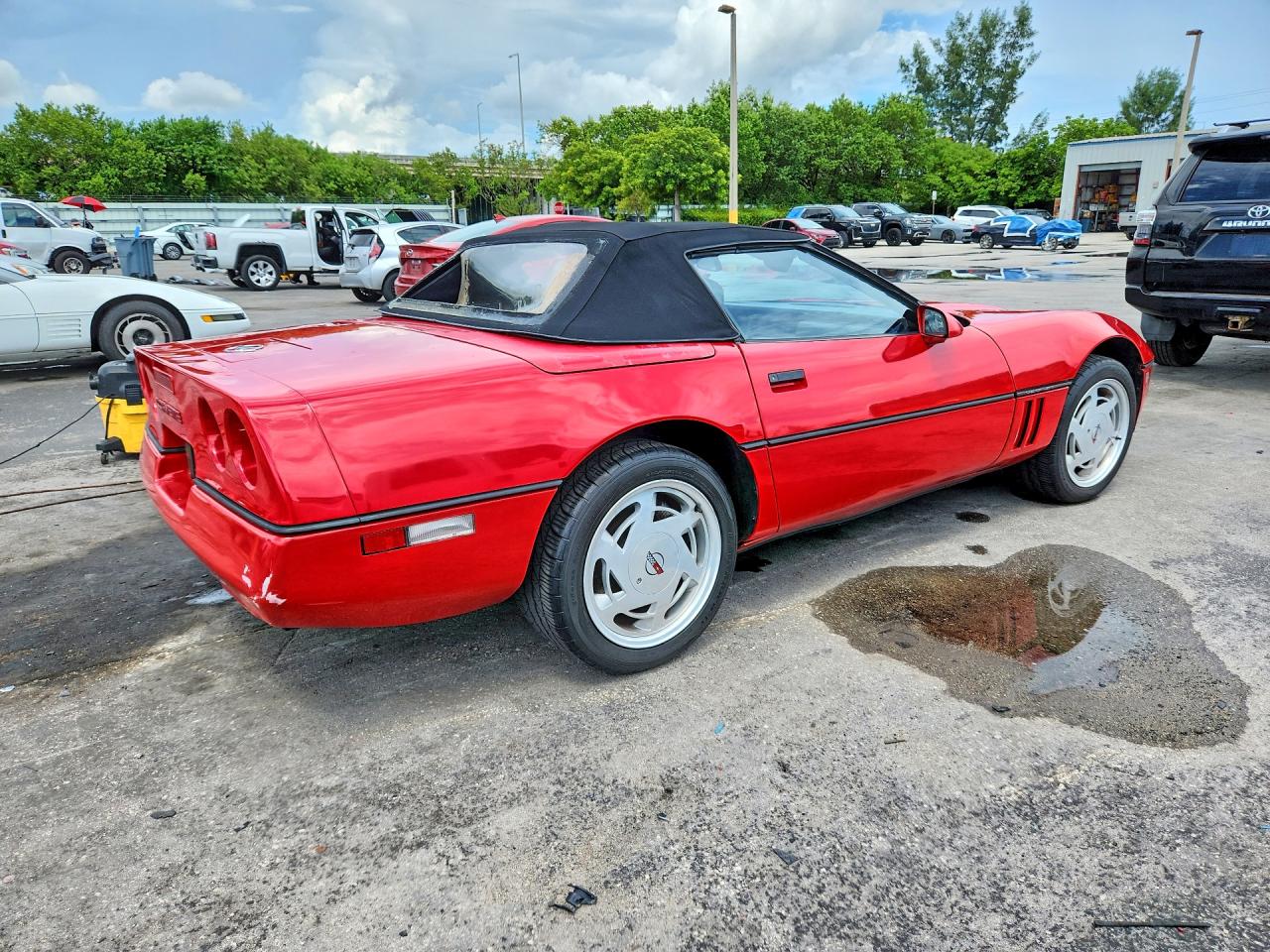 1989 Chevrolet Corvette Red vin: 1G1YY3181K5111009