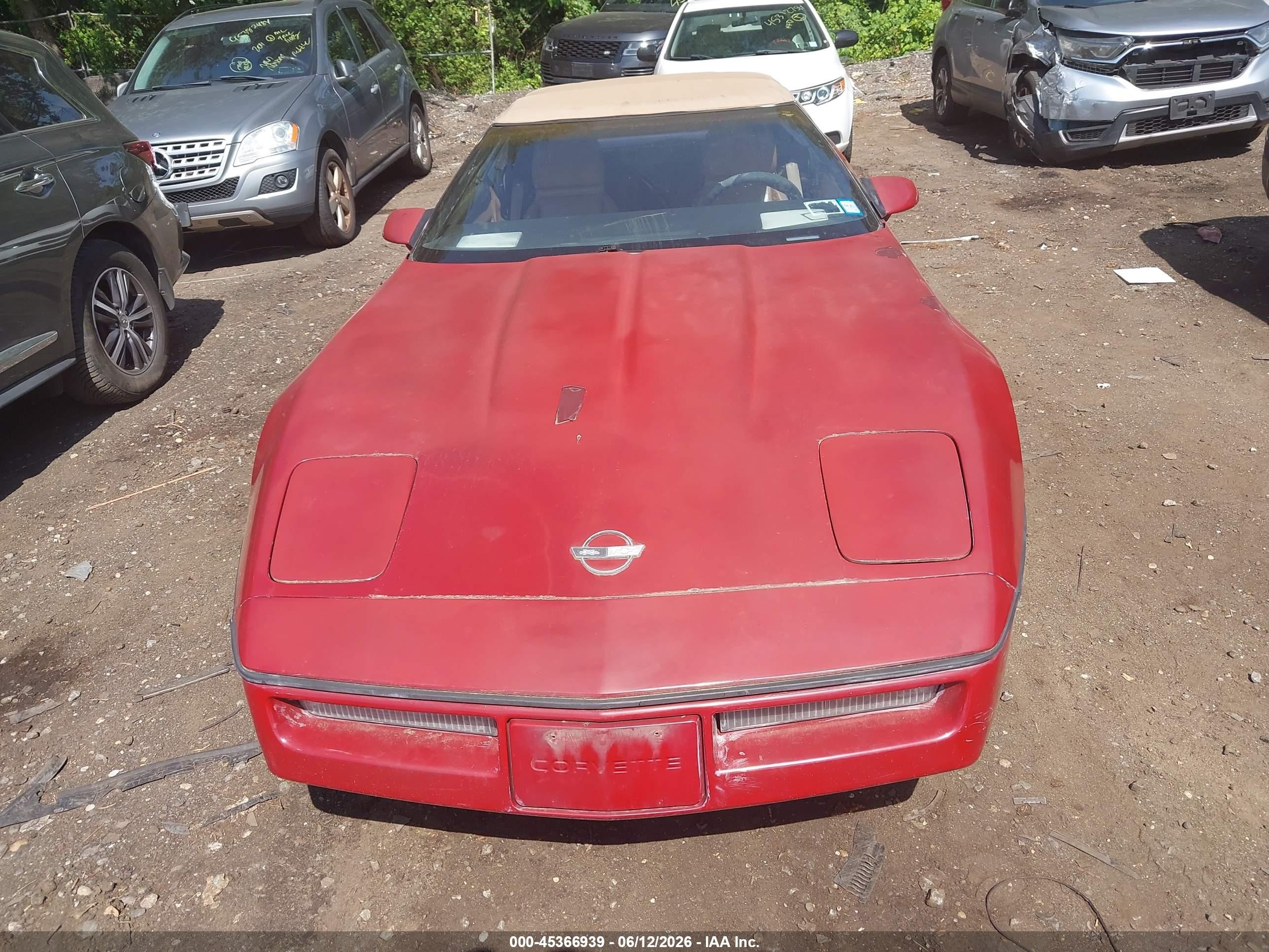1989 Chevrolet Corvette   Red vin: 1G1YY3183K5103834