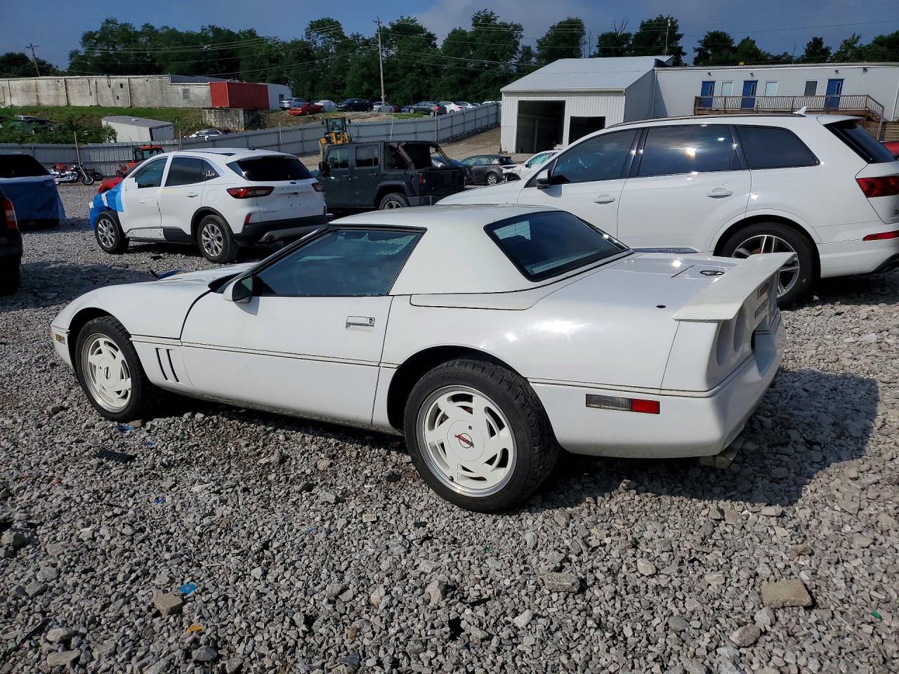 1989 Chevrolet Corvette White vin: 1G1YY3186K5117677
