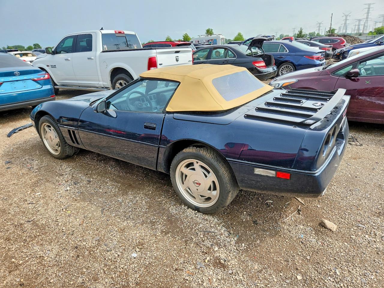1989 Chevrolet Corvette Black vin: 1G1YY3187K5112956