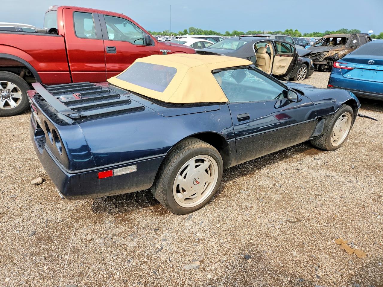 1989 Chevrolet Corvette Black vin: 1G1YY3187K5112956