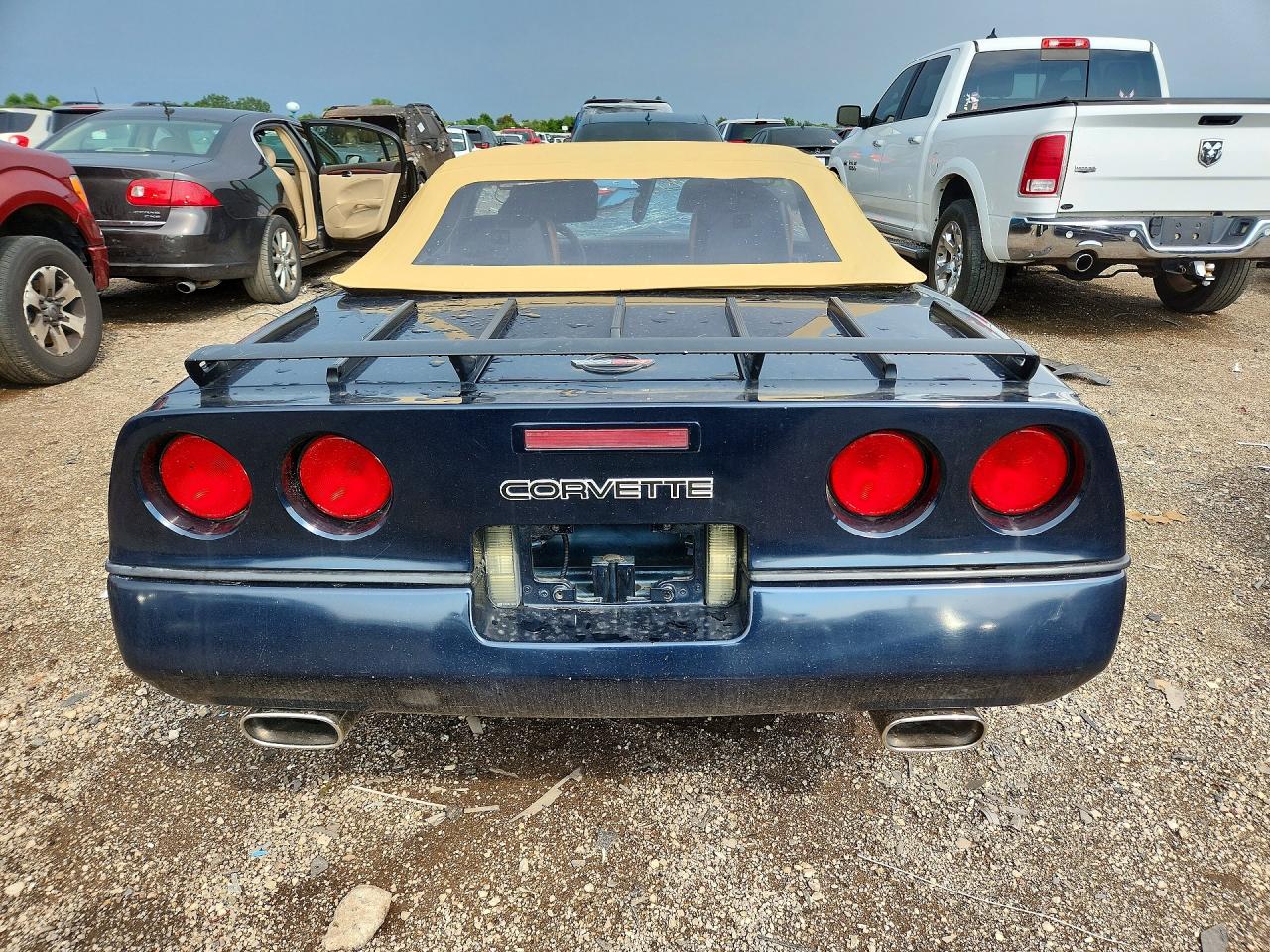 1989 Chevrolet Corvette Black vin: 1G1YY3187K5112956