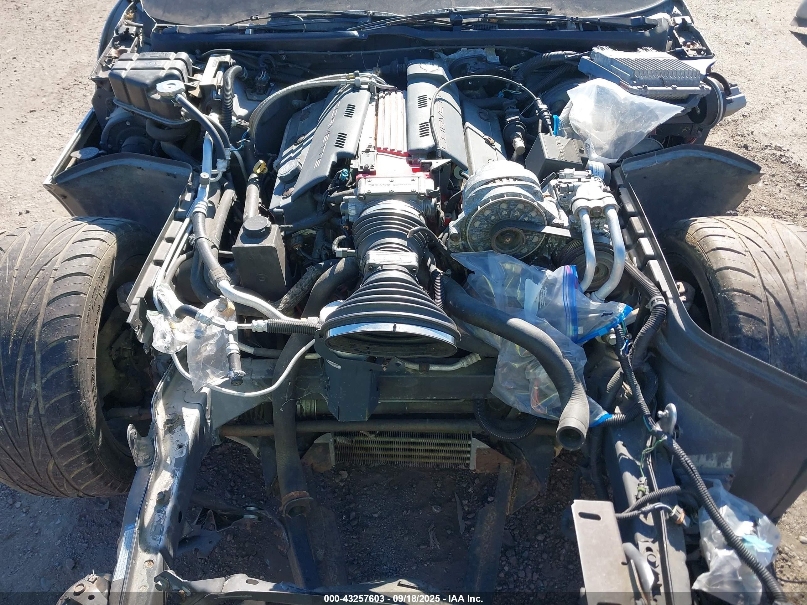 1996 Chevrolet Corvette   Серебряный vin: 1G1YY3258T5114303