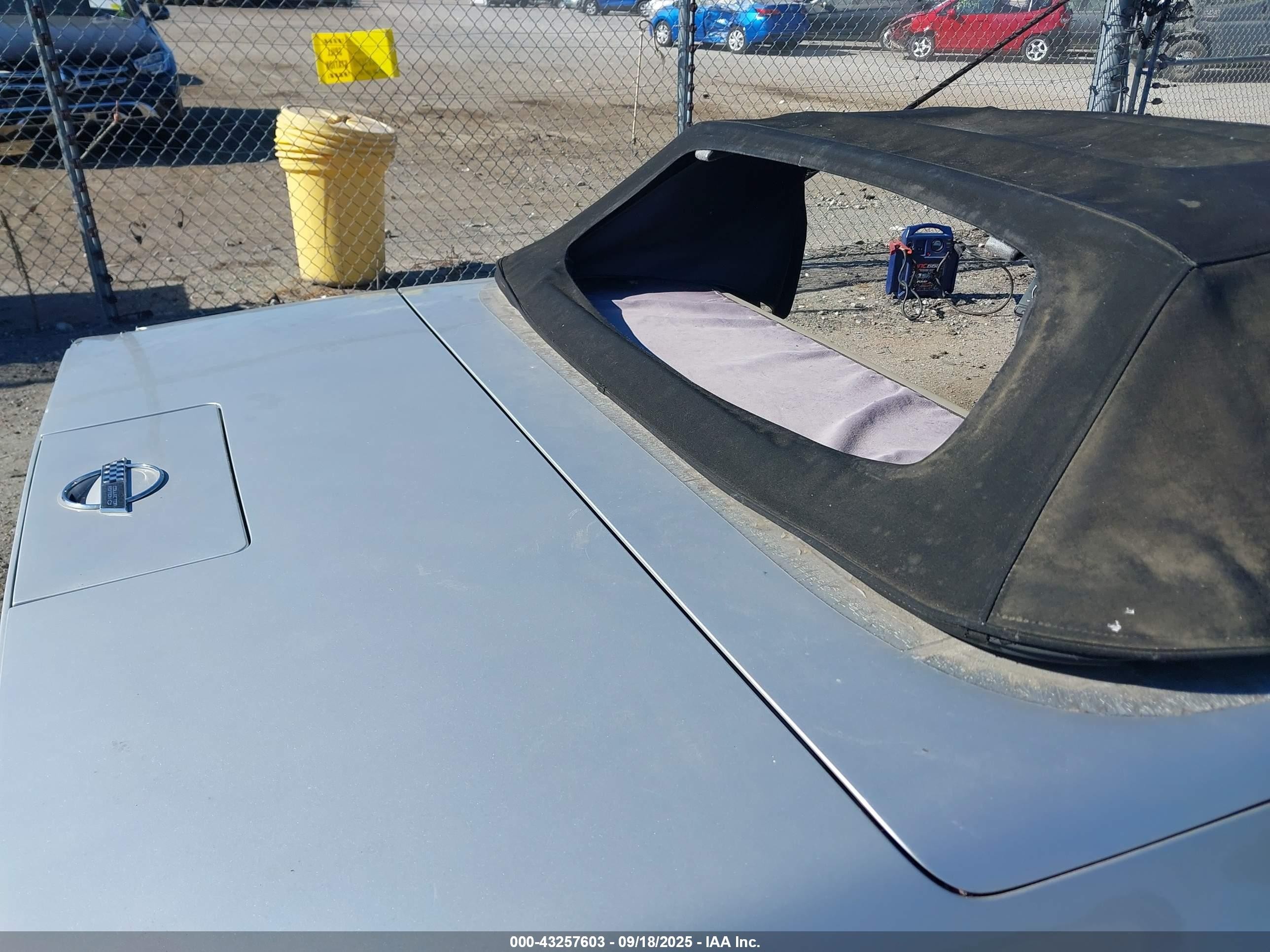 1996 Chevrolet Corvette   Серебряный vin: 1G1YY3258T5114303