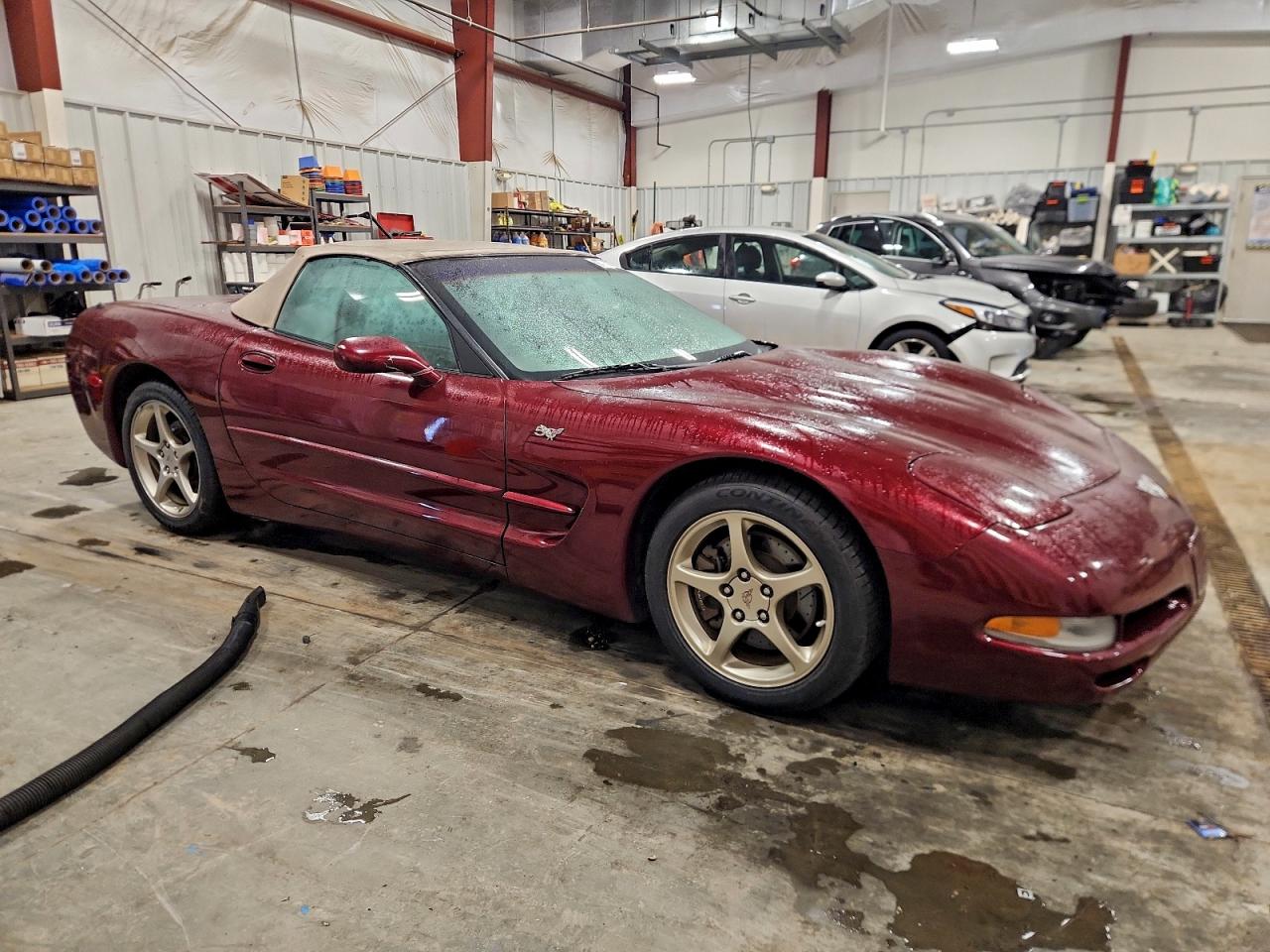 2003 Chevrolet Corvette Maroon vin: 1G1YY32G035120680