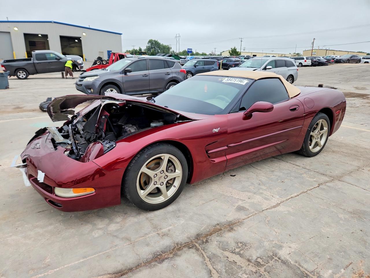 2003 Chevrolet Corvette Бордовый vin: 1G1YY32G035131548