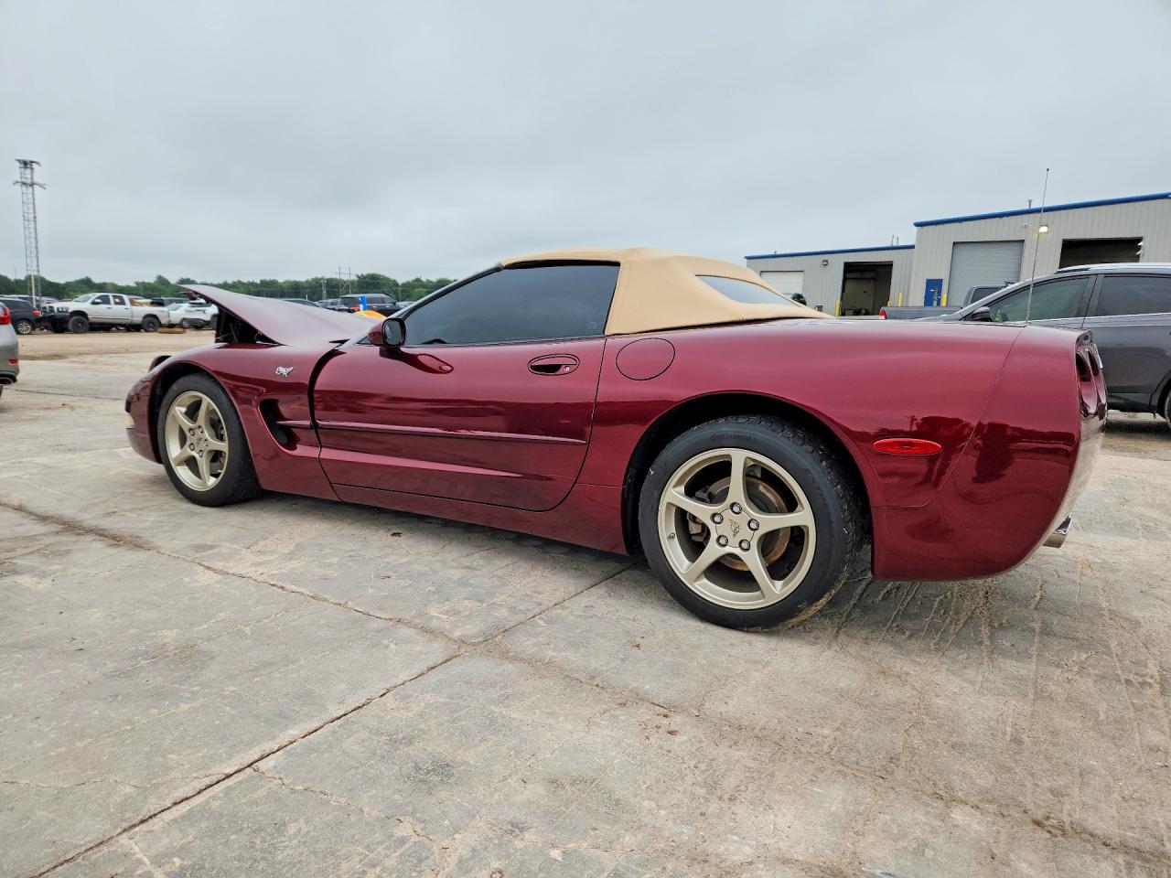 2003 Chevrolet Corvette Бордовый vin: 1G1YY32G035131548