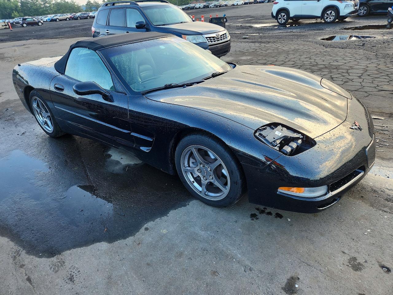 2001 Chevrolet Corvette Black vin: 1G1YY32G315104048
