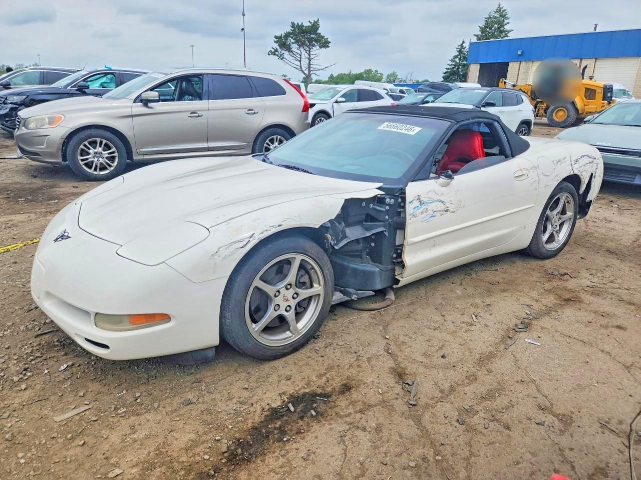 2001 Chevrolet Corvette Белый vin: 1G1YY32G415105404
