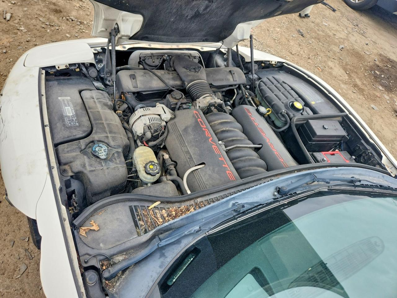 2001 Chevrolet Corvette Белый vin: 1G1YY32G415105404