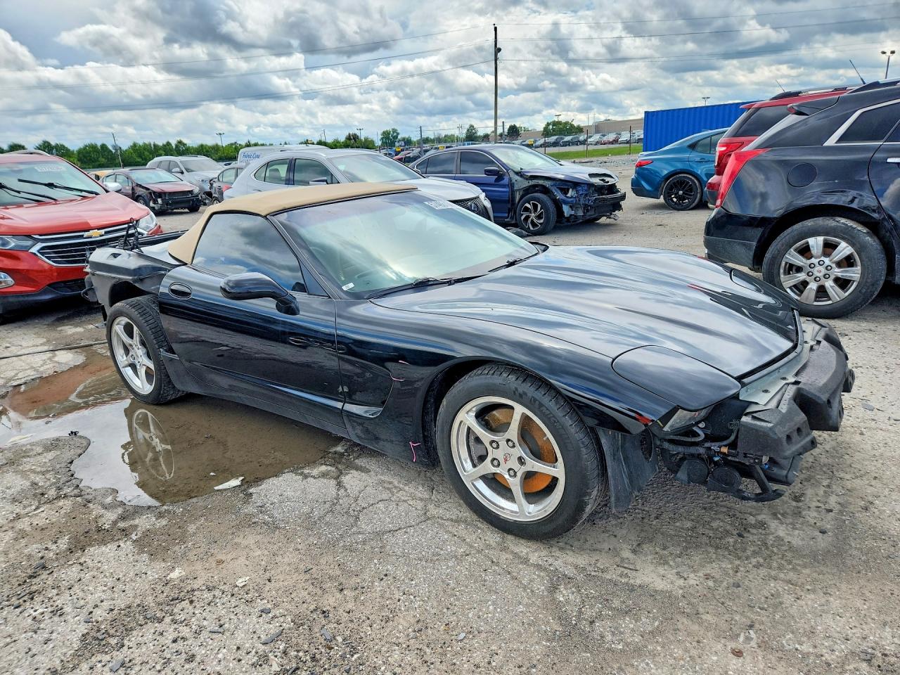 2003 Chevrolet Corvette Black vin: 1G1YY32G435124229