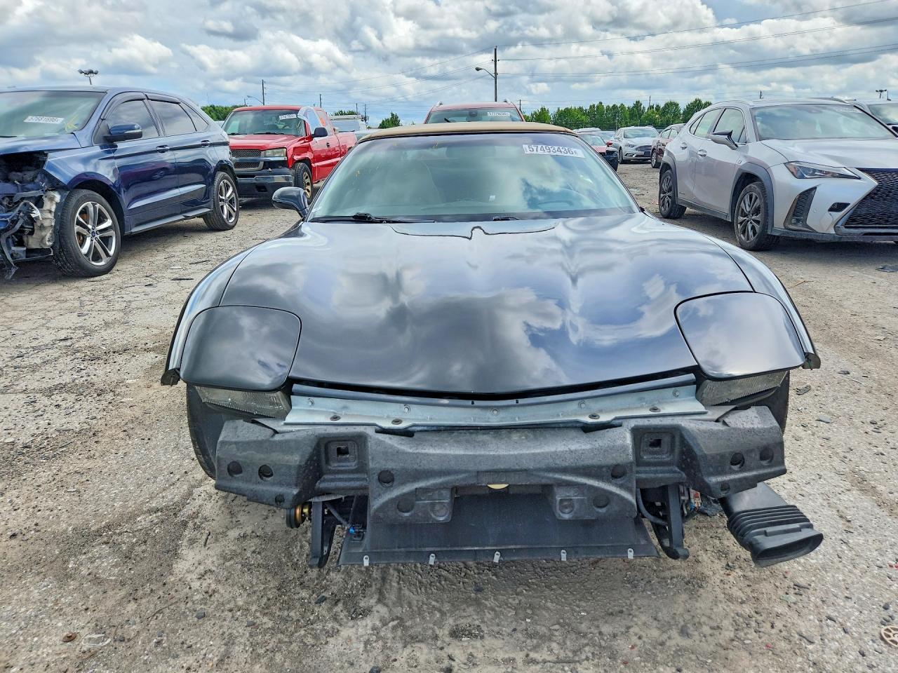2003 Chevrolet Corvette Black vin: 1G1YY32G435124229