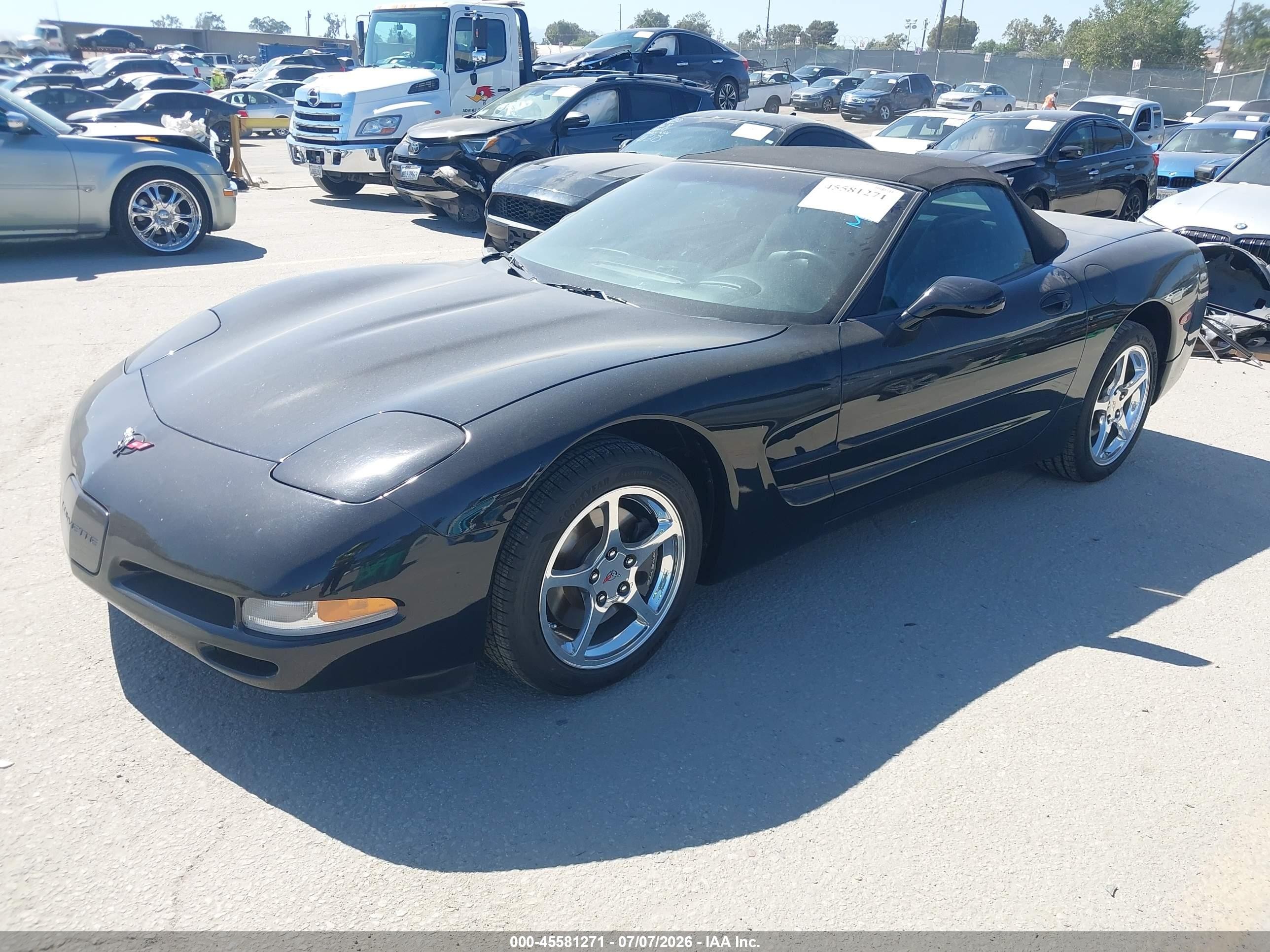 2004 Chevrolet Corvette   Black vin: 1G1YY32G445129867