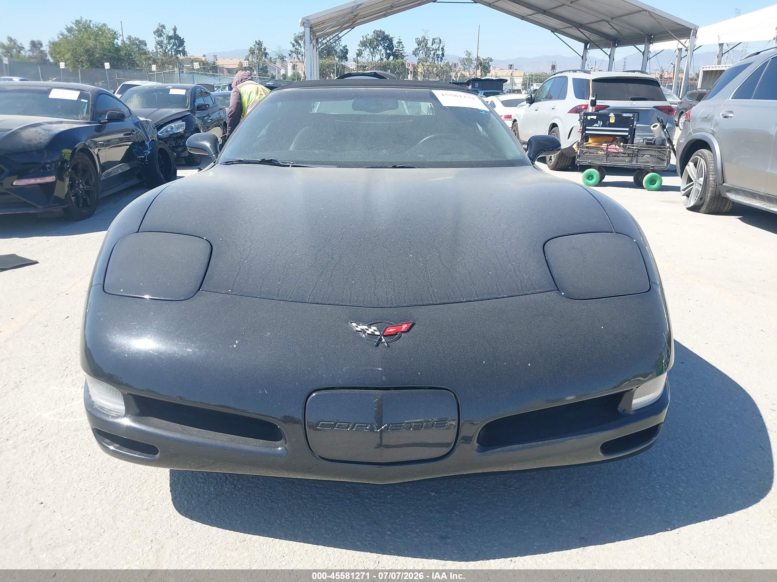 2004 Chevrolet Corvette   Black vin: 1G1YY32G445129867