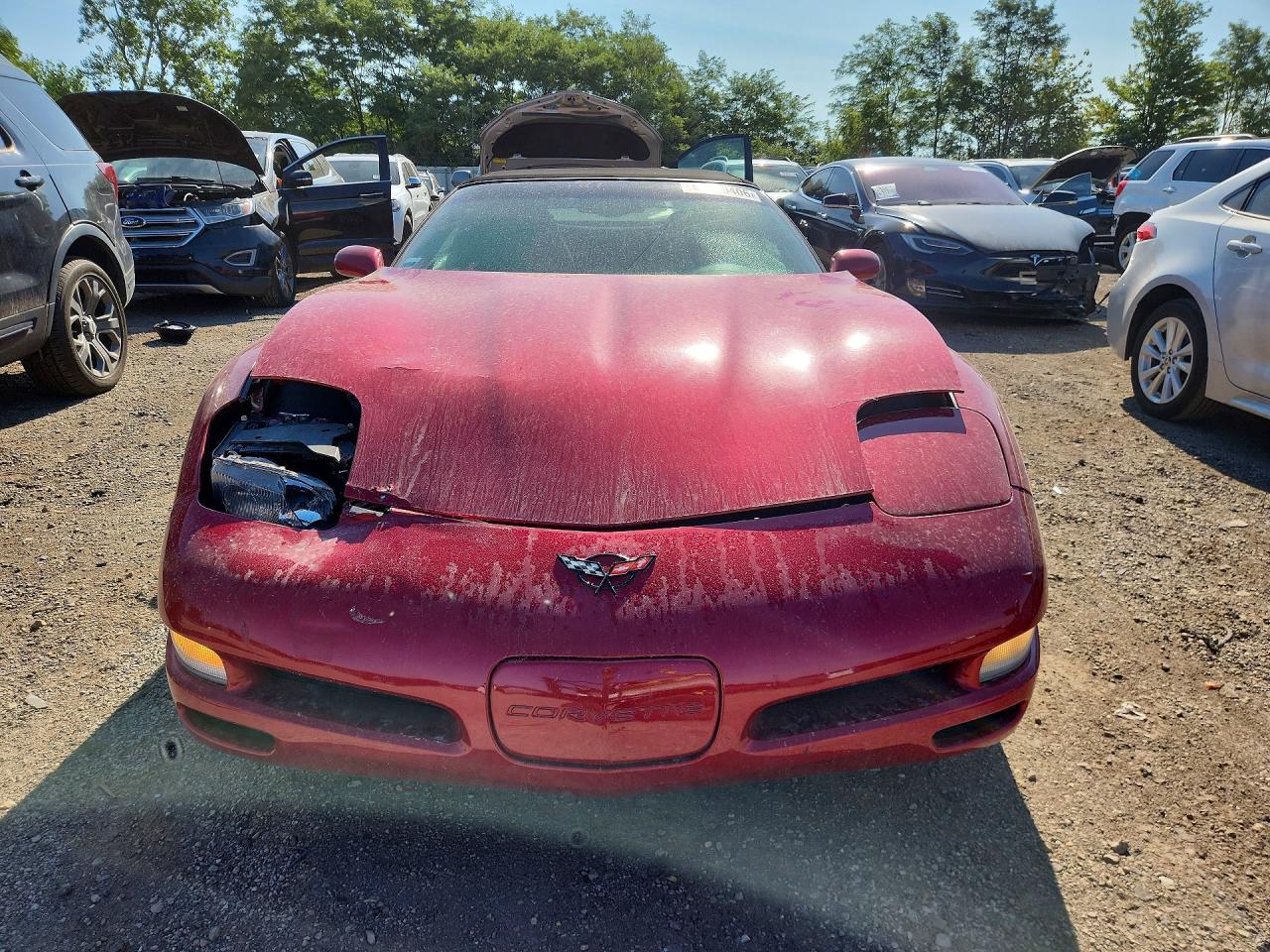 2002 Chevrolet Corvette Red vin: 1G1YY32G525106398
