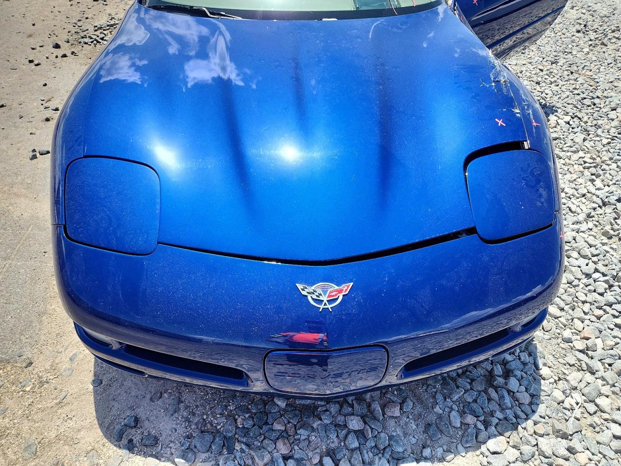 2004 Chevrolet Corvette Blue vin: 1G1YY32G645114576