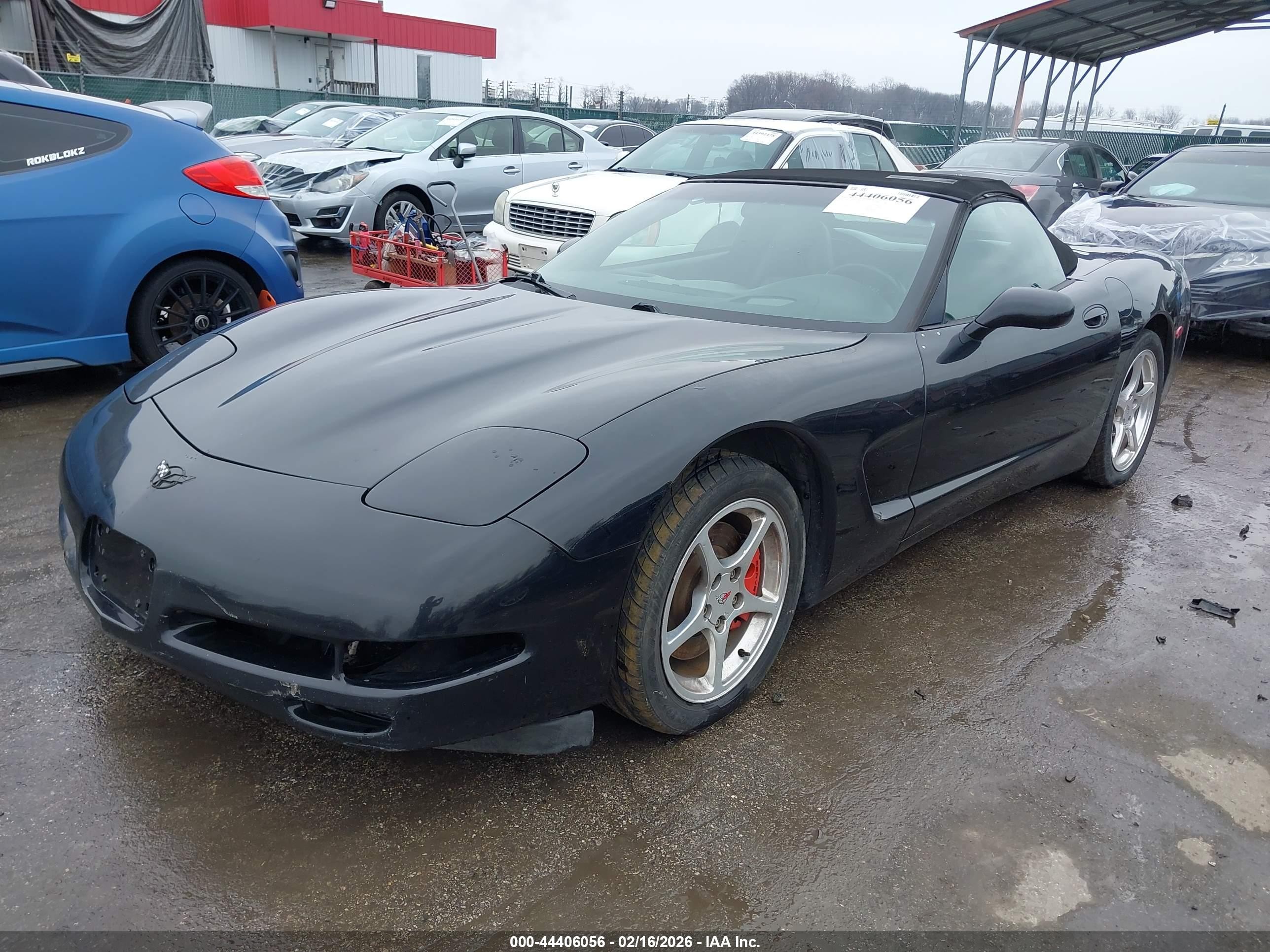 2001 Chevrolet Corvette   Black vin: 1G1YY32G815117698