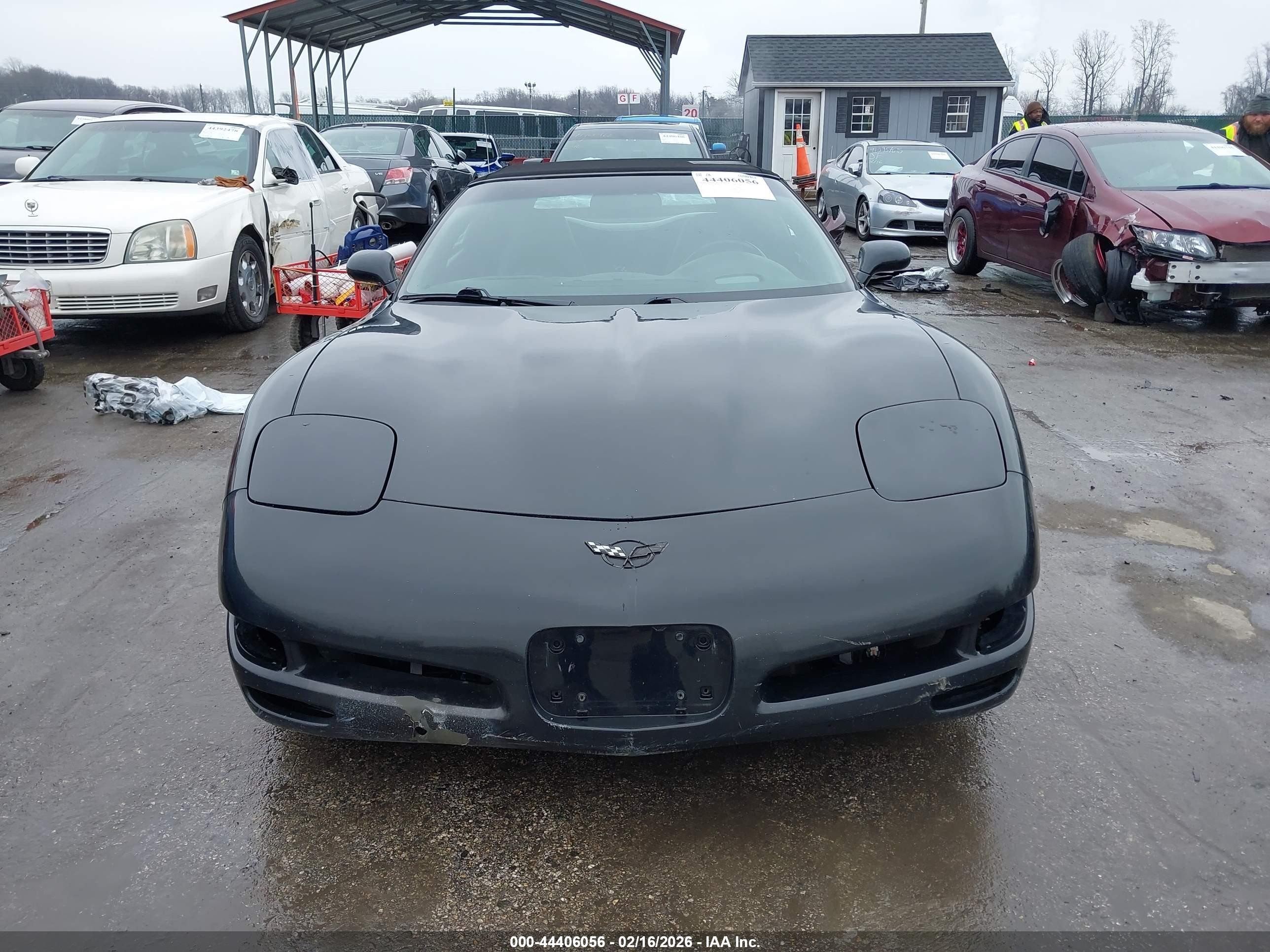 2001 Chevrolet Corvette   Black vin: 1G1YY32G815117698