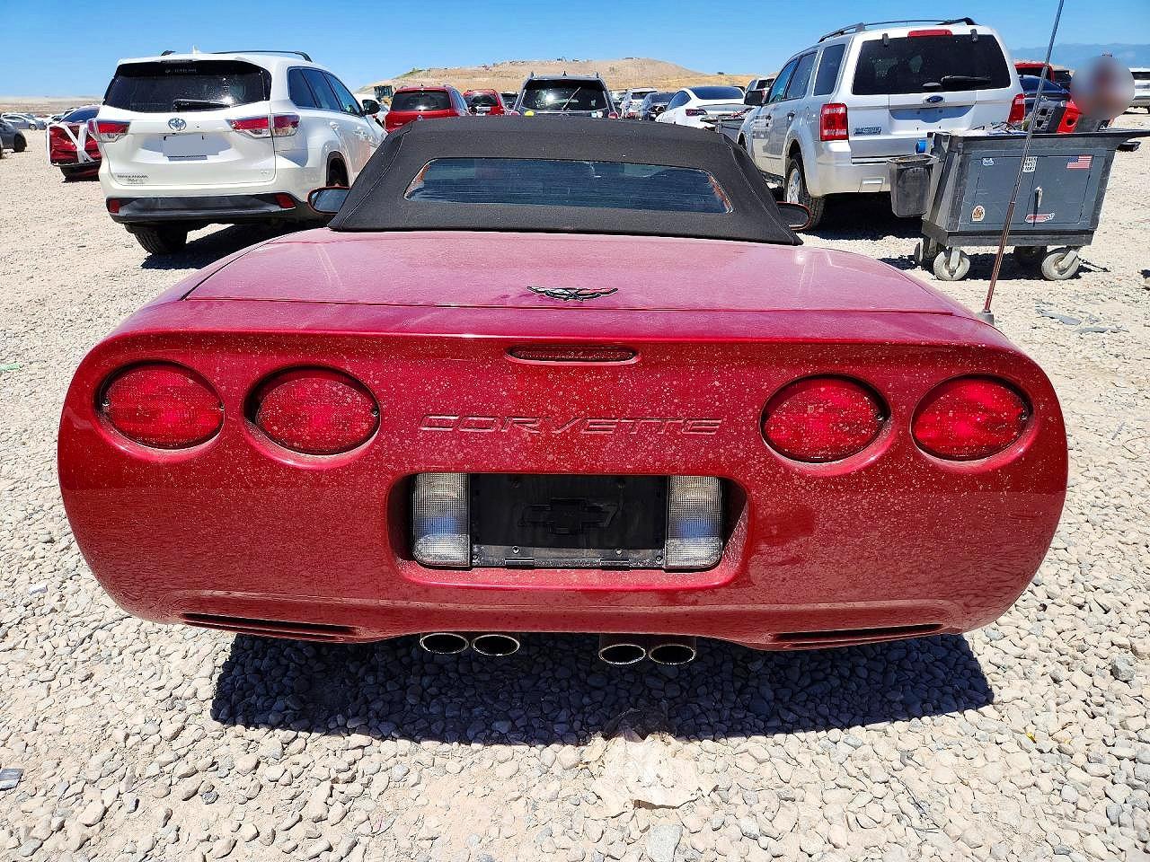 2002 Chevrolet Corvette Red vin: 1G1YY32G925125052