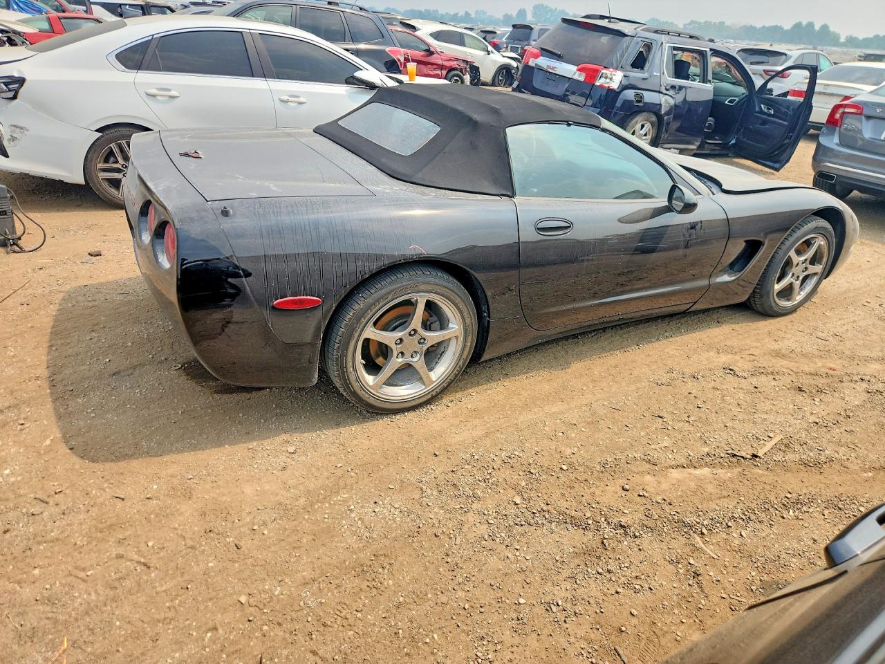 2000 Chevrolet Corvette Black vin: 1G1YY32G9Y5130888